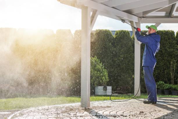 Best Solar Panel Cleaning  in Herricks, NY